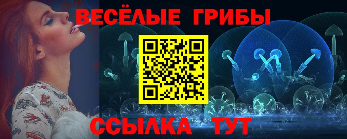 Грязи  Галлюциногенные грибы Cubensis  Вход с VPN 